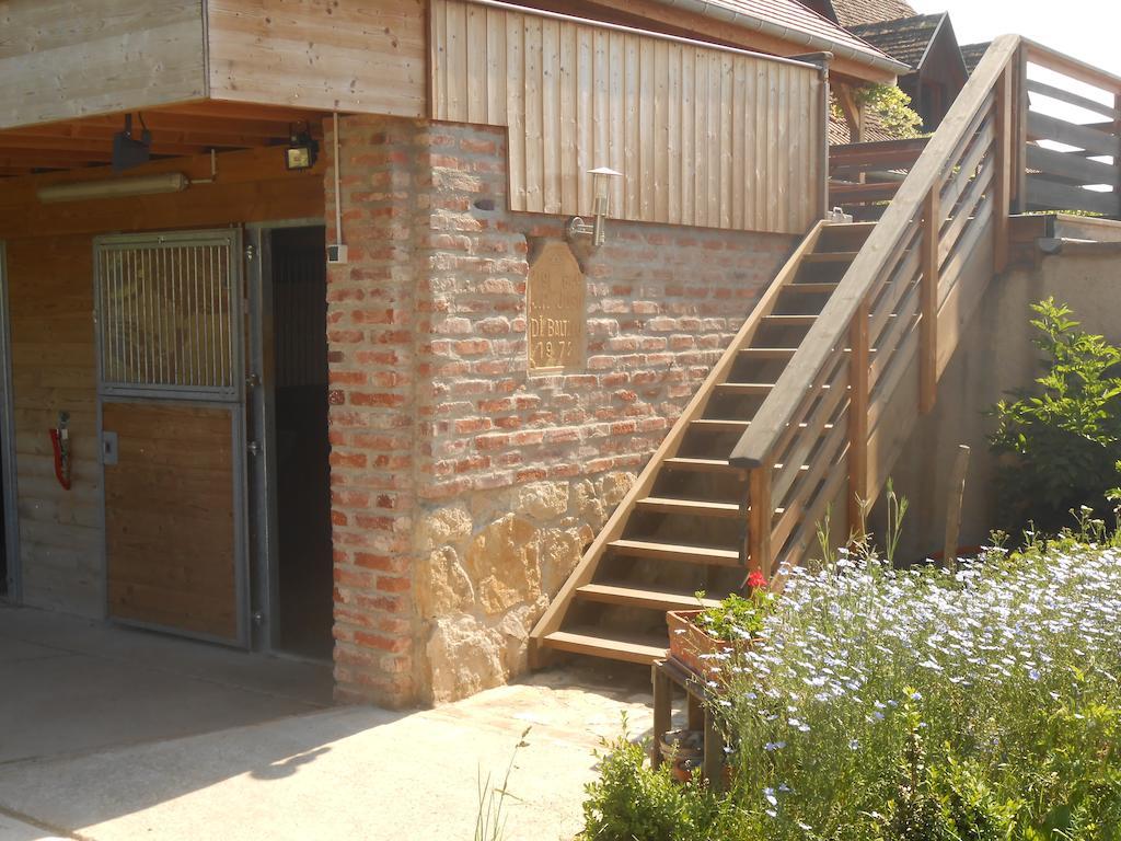 Gite Du Rotenberg Bergheim Exterior foto